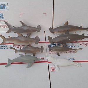 #418 Hammerhead Sharks plus bonus Seal and Dolphin